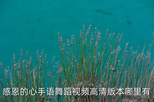 感恩的心手语舞蹈视频高清版本哪里有