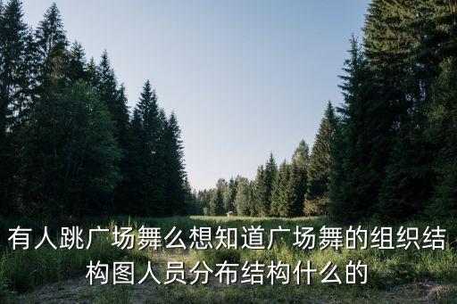 有人跳广场舞么想知道广场舞的组织结构图人员分布结构什么的