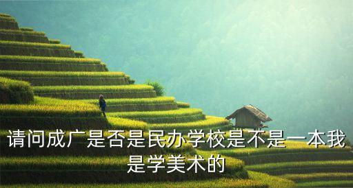 舞来舞往艺术学校，请问成广是否是民办学校是不是一本我是学美术的