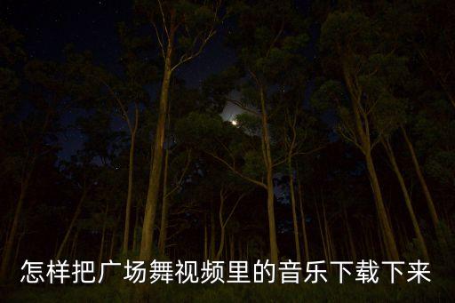 怎样把广场舞视频里的音乐下载下来