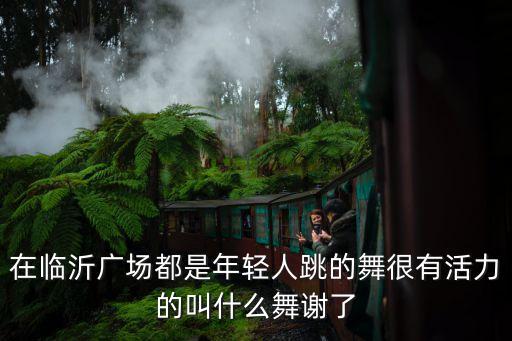 在临沂广场都是年轻人跳的舞很有活力的叫什么舞谢了