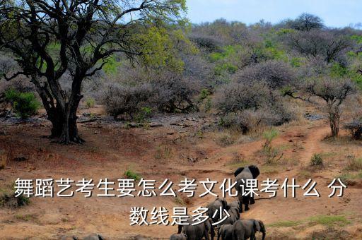 舞蹈艺考生要怎么考文化课考什么 分数线是多少