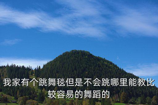 哪里可以学舞蹈毯技，谁知道徐州有啥比较好的舞校 学专业的民舞古典舞的还有毯技