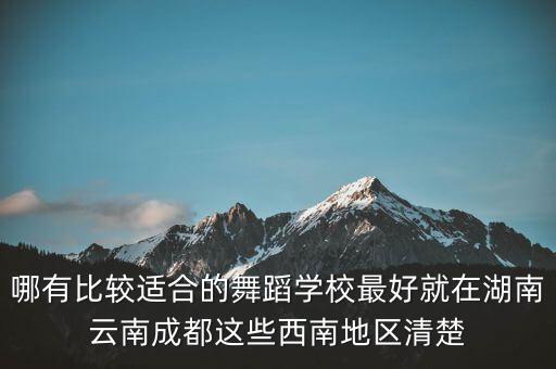 有什么舞蹈学校吗，问哪里有好的艺校学舞蹈