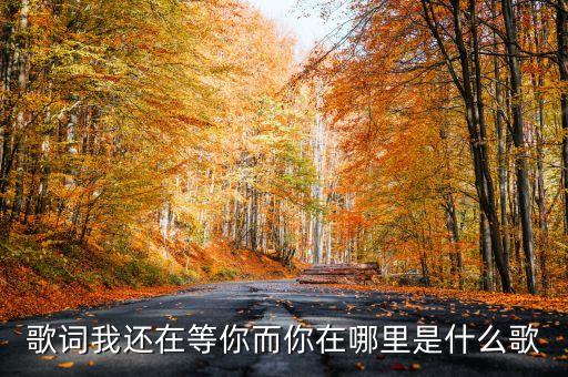 在等你在哪里歌词，你在哪里啊我在等你啊 这句歌词的歌叫什么名字