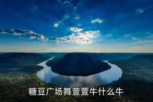 糖豆广场舞萱萱牛什么牛