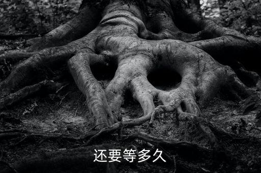 还要等多久，还要等多久