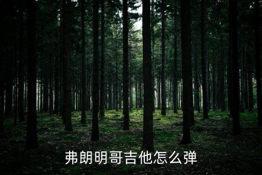 弗朗明哥吉他怎么弹