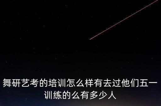 舞研艺考的培训怎么样有去过他们五一训练的么有多少人