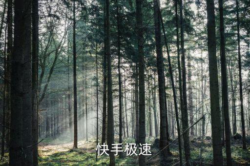 快手极速