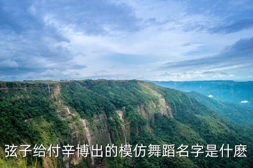 弦子给付辛博出的模仿舞蹈名字是什麽