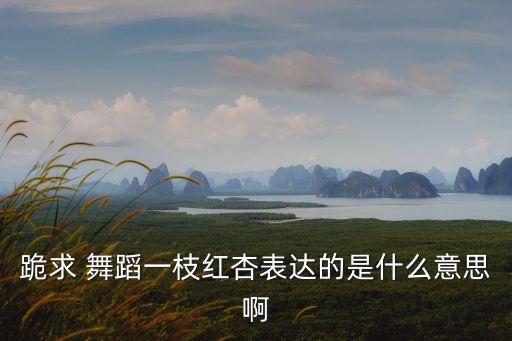 跪求 舞蹈一枝红杏表达的是什么意思啊