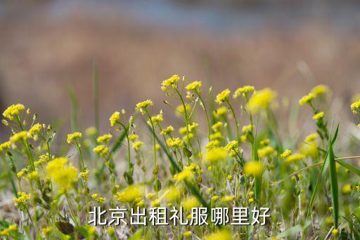 北京哪里租衣服，北京出租礼服哪里好