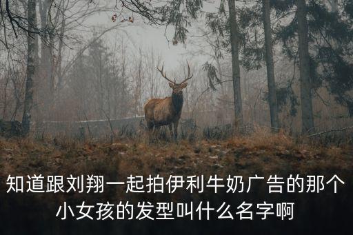 知道跟刘翔一起拍伊利牛奶广告的那个小女孩的发型叫什么名字啊
