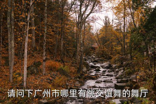 请问下广州市哪里有跳交谊舞的舞厅