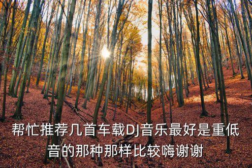 顶级车载重低音dj舞曲，帮忙推荐几首车载DJ音乐最好是重低音的那种那样比较嗨谢谢
