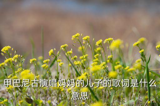甲巴尼古演唱妈妈的儿子的歌词是什么意思