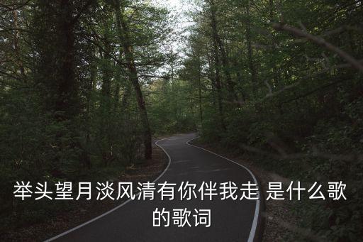 举头望月淡风清有你伴我走 是什么歌的歌词