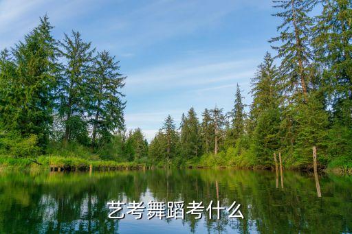 艺考舞蹈考什么