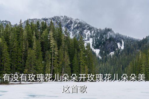 有没有玫瑰花儿朵朵开玫瑰花儿朵朵美这首歌