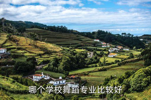 哪个学校舞蹈专业比较好