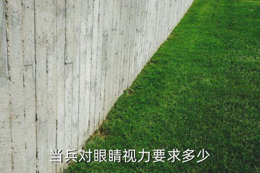 当兵对眼睛视力要求多少