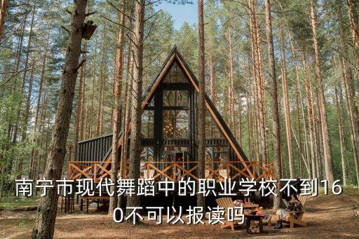 南宁市现代舞蹈中的职业学校不到160不可以报读吗