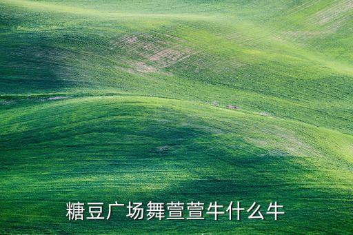 糖豆广场舞萱萱牛什么牛