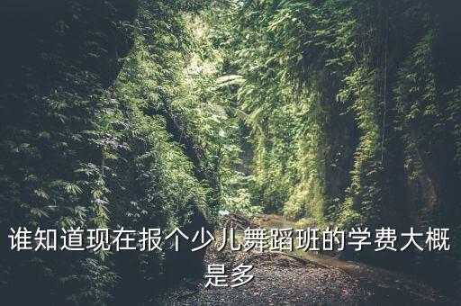 谁知道现在报个少儿舞蹈班的学费大概是多
