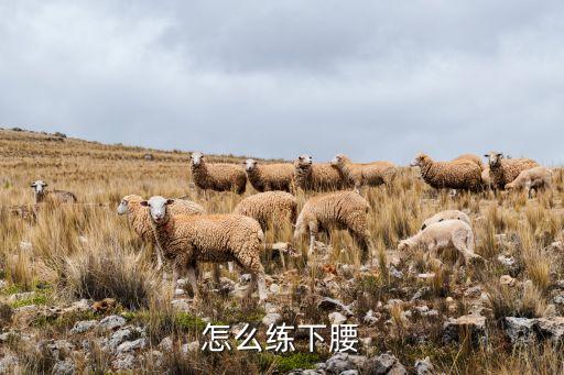 怎么练下腰