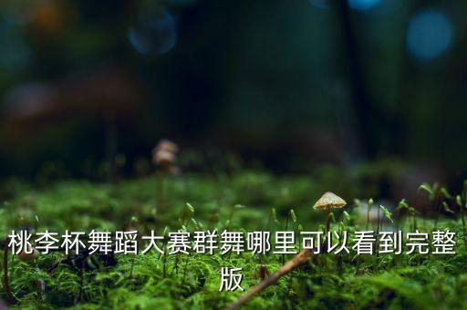 哪里有桃李杯的教学，桃李杯女子技巧组合简单一点的哪里有啊