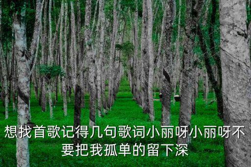 想找首歌记得几句歌词小丽呀小丽呀不要把我孤单的留下深