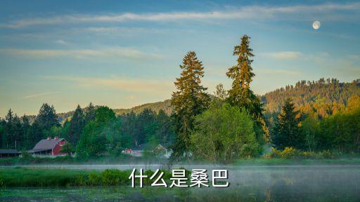 什么是桑巴