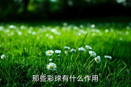 那些彩球有什么作用