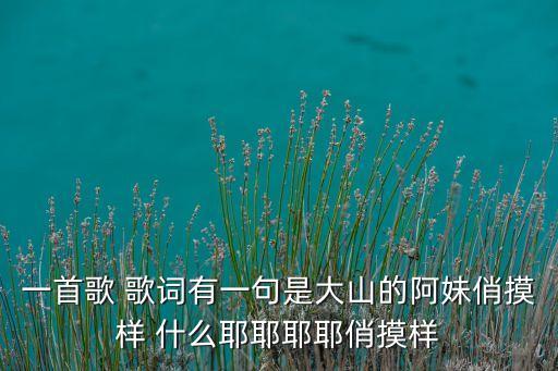 一首歌 歌词有一句是大山的阿妹俏摸样 什么耶耶耶耶俏摸样