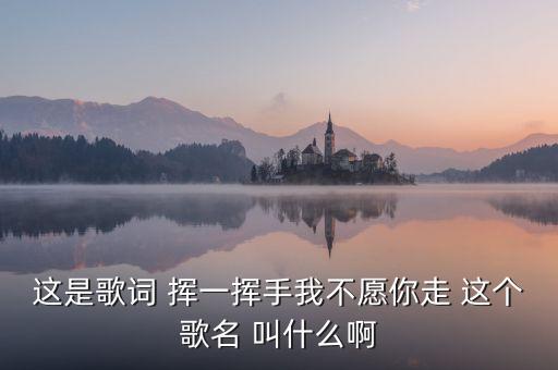 这是歌词 挥一挥手我不愿你走 这个歌名 叫什么啊