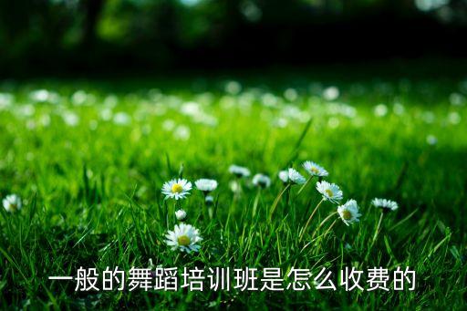 一般的舞蹈培训班是怎么收费的