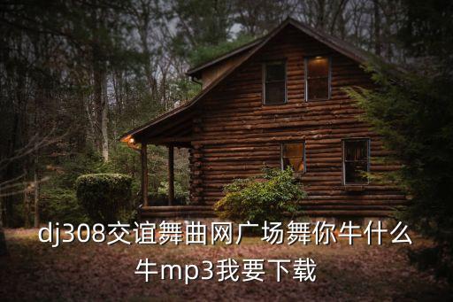 dj308交谊舞曲网广场舞你牛什么牛mp3我要下载