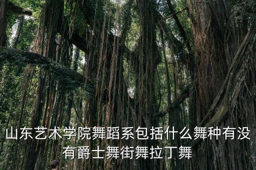 山东艺术学院舞蹈系包括什么舞种有没有爵士舞街舞拉丁舞