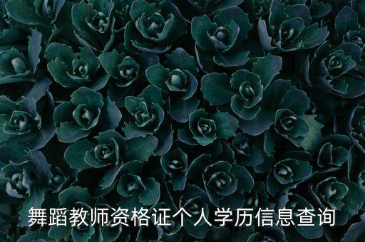 舞蹈教师资格证个人学历信息查询