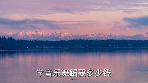 舞蹈学校报名要多少钱，学音乐舞蹈要多少钱