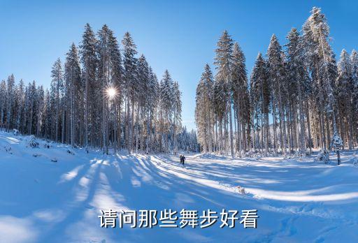 请问那些舞步好看