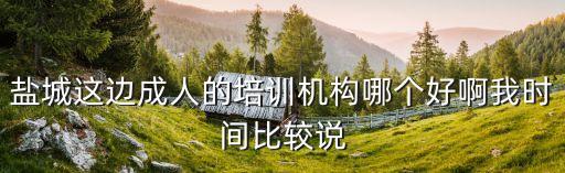 盐城这边成人的培训机构哪个好啊我时间比较说