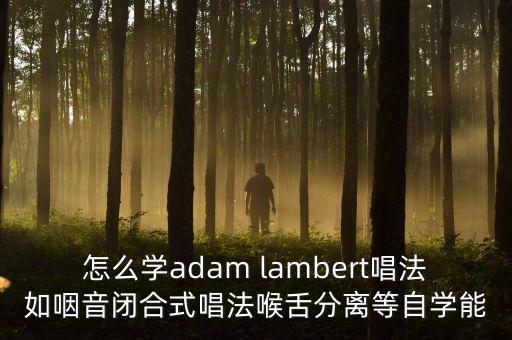 怎么学adam lambert唱法如咽音闭合式唱法喉舌分离等自学能
