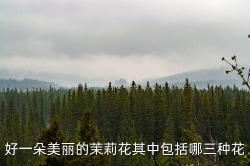好一朵美丽的茉莉花其中包括哪三种花