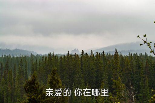 亲爱的 你在哪里