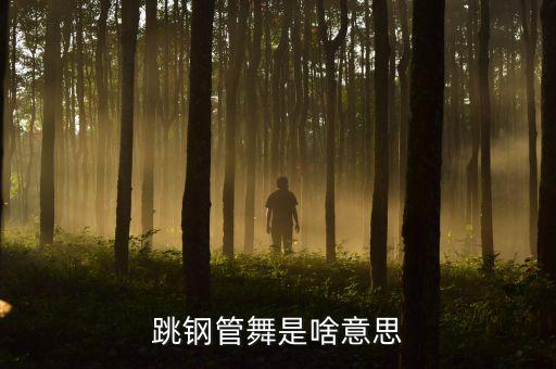 跳钢管舞是啥意思