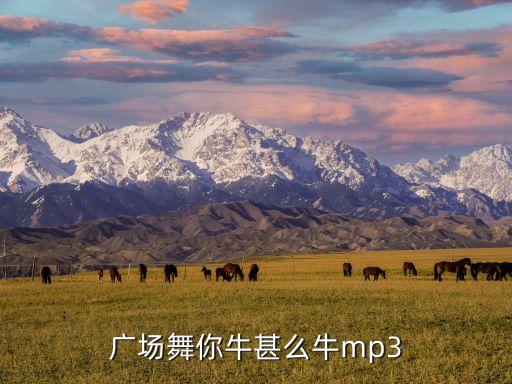 广场舞你牛甚么牛mp3