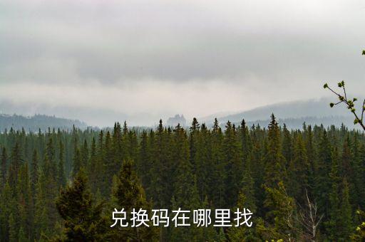 唱舞全明星兑换码在哪兑换，游戏兑换码在哪里兑换物品