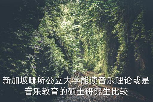 新加坡哪所公立大学能读音乐理论或是音乐教育的硕士研究生比较